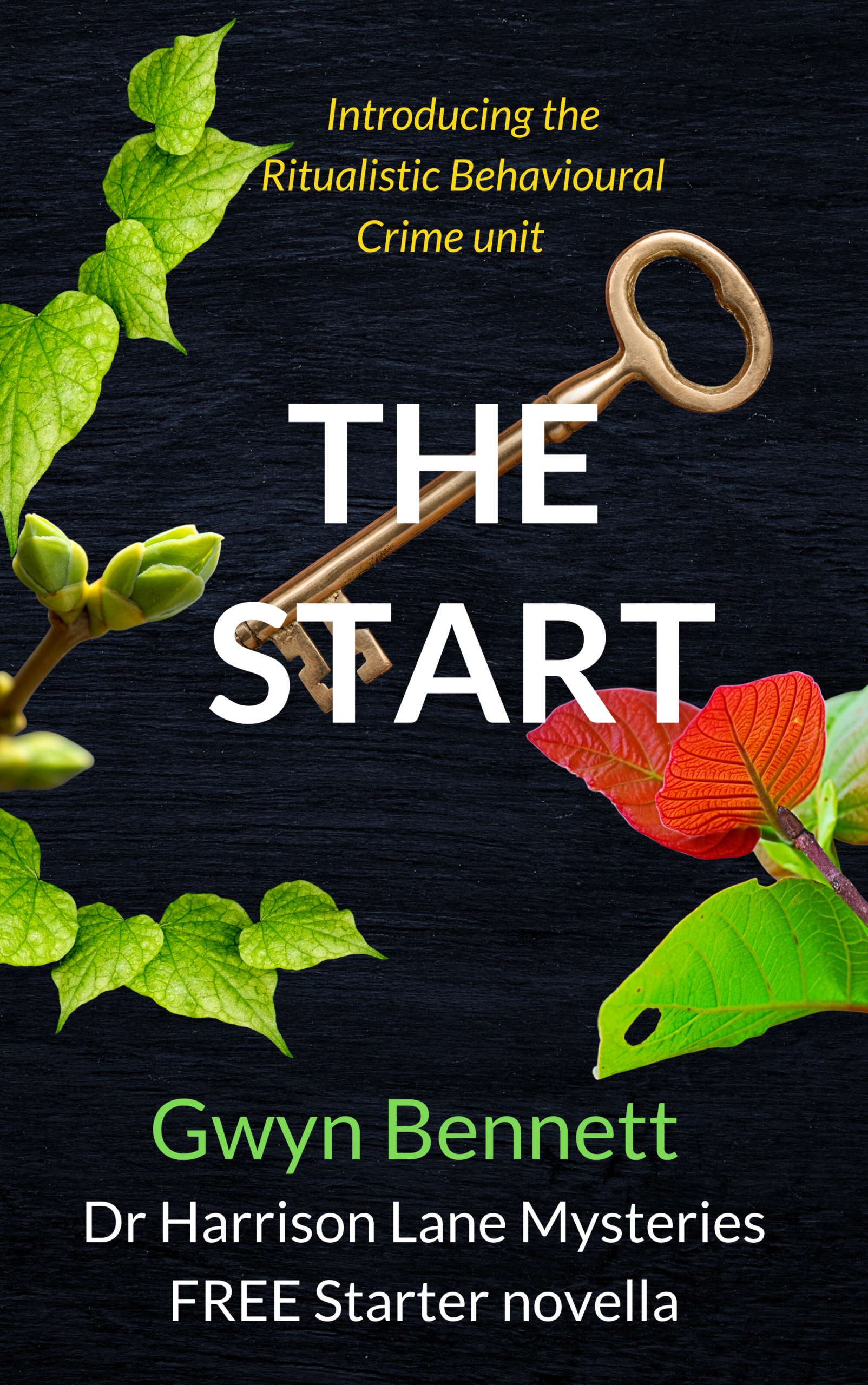 The Start by Gwyn Bennett, exclusive to Gwyn's book club and prequel to the Harrison Lane series. The Start by Gwyn Bennett, exclusive to Gwyn's book club and prequel to the Harrison Lane series.